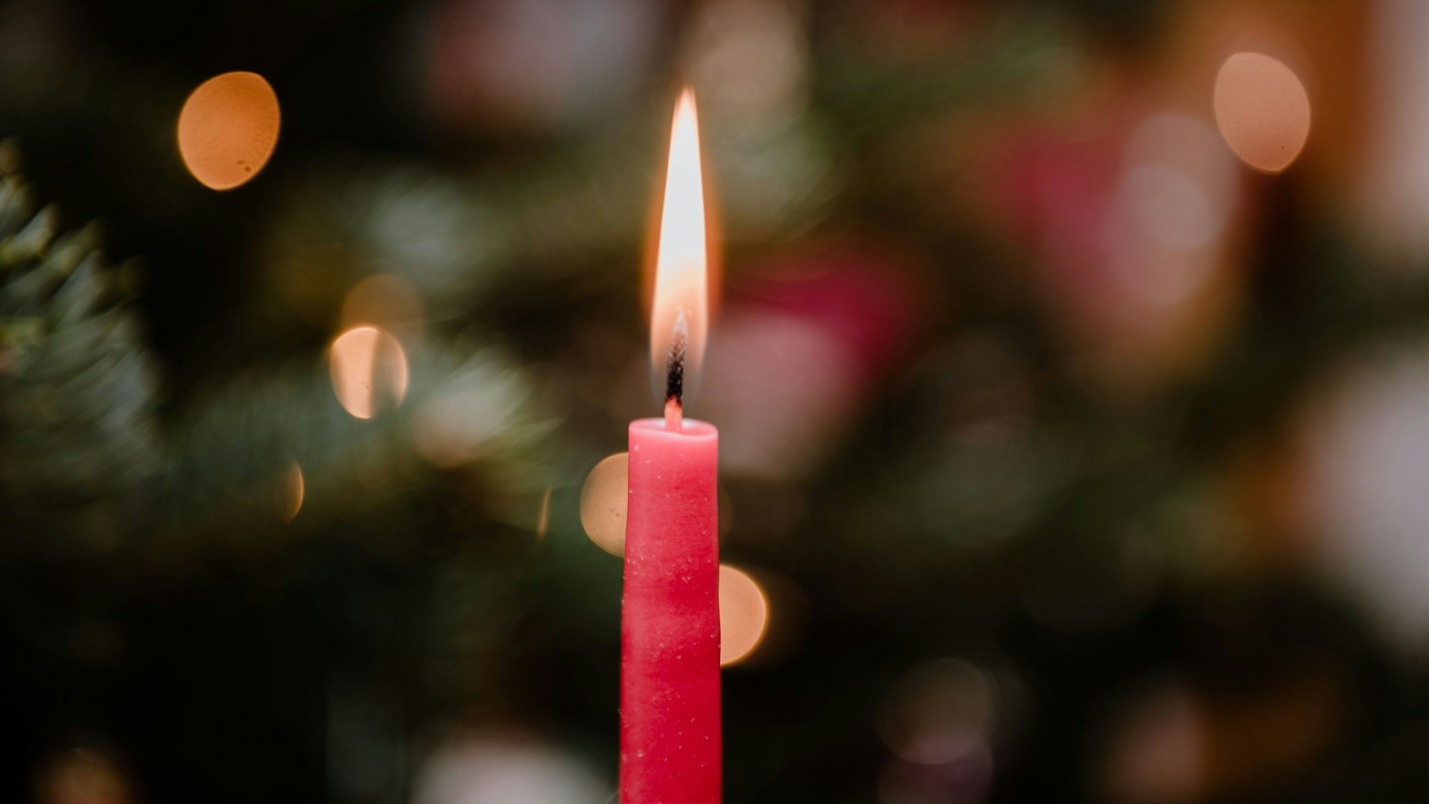 24.12.2020 Eine Kerze brennt an Heiligabend an einem Weihnachtsbaum.