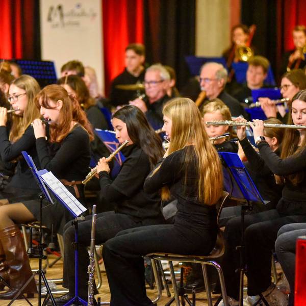 Zu sehen sind Musikerinnen und Musiker in einem Orchester.