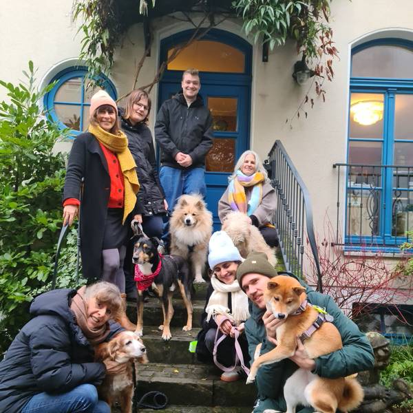Einige Menschen und Hunde stehen und hocken auf einer Treppe vor einem Hauseingang.