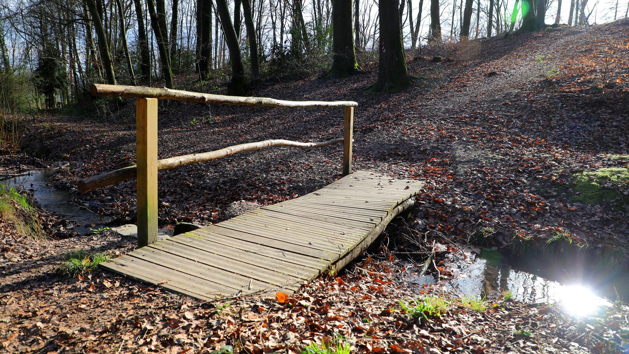 Die Rundwanderung startet zum Beispiel am „Siegelsknippen“ als Waldspaziergang. Ein Forstweg verläuft durch die Stille des Kaldauer Waldes. (Archivbild)