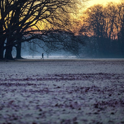 Ein Mann spaziert bei Sonnenaufgang im Winter durch einen Park in Köln. (Archivbild)