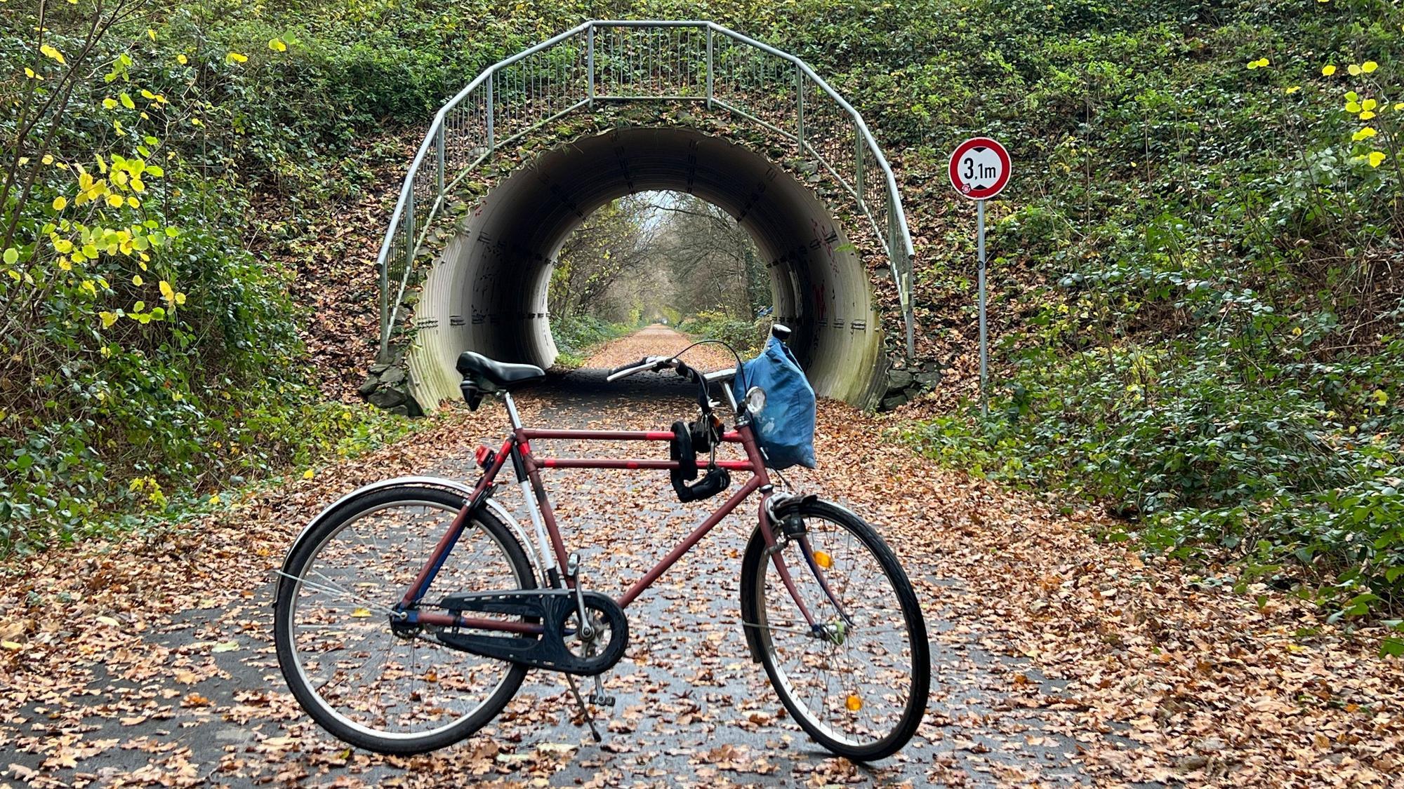 Die Balkantrasse bei Romberg mit einem Bayerrad. Foto: Ralf Krieger