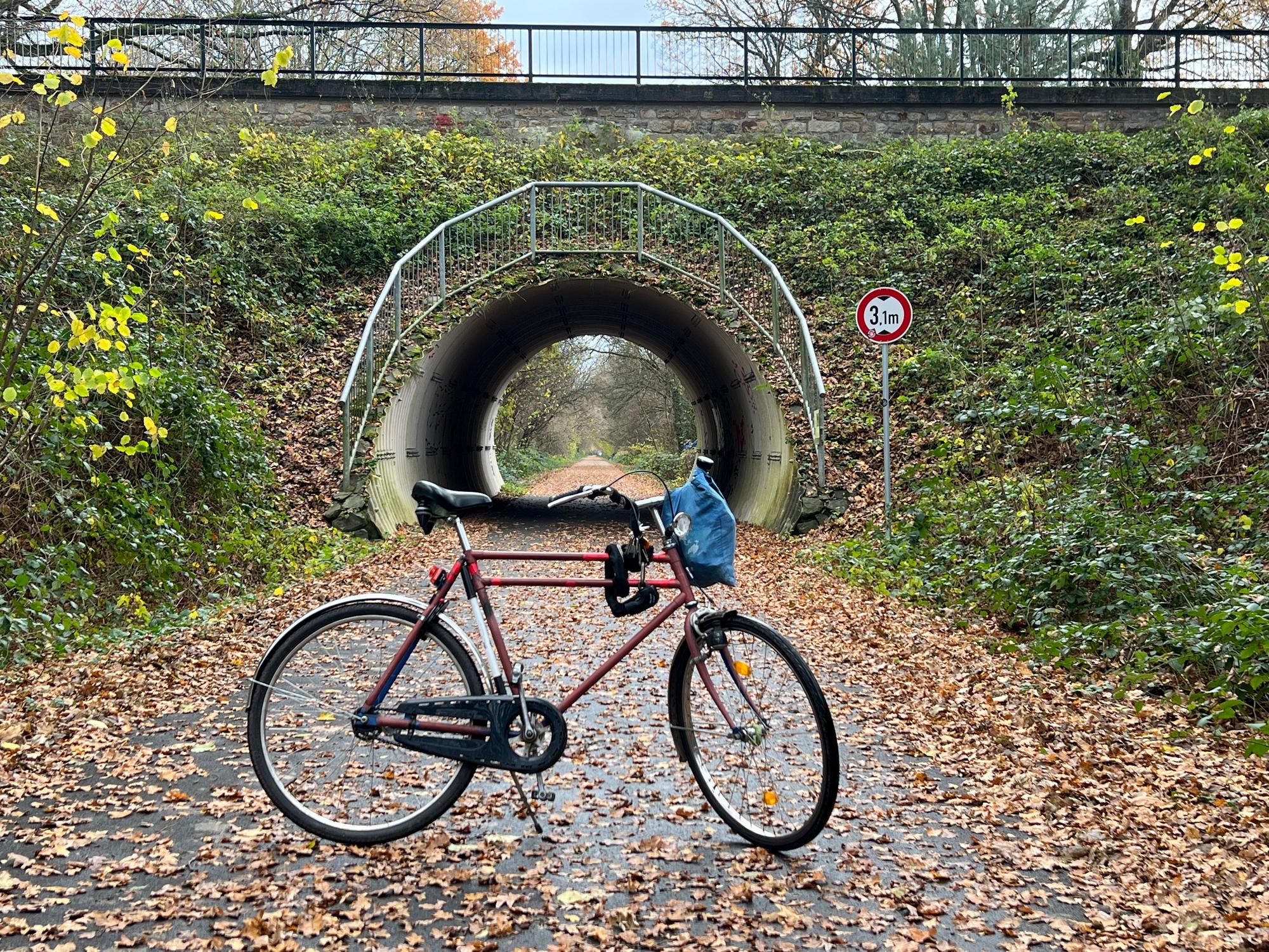 Die Balkantrasse bei Romberg mit einem Bayerrad. Foto: Ralf Krieger