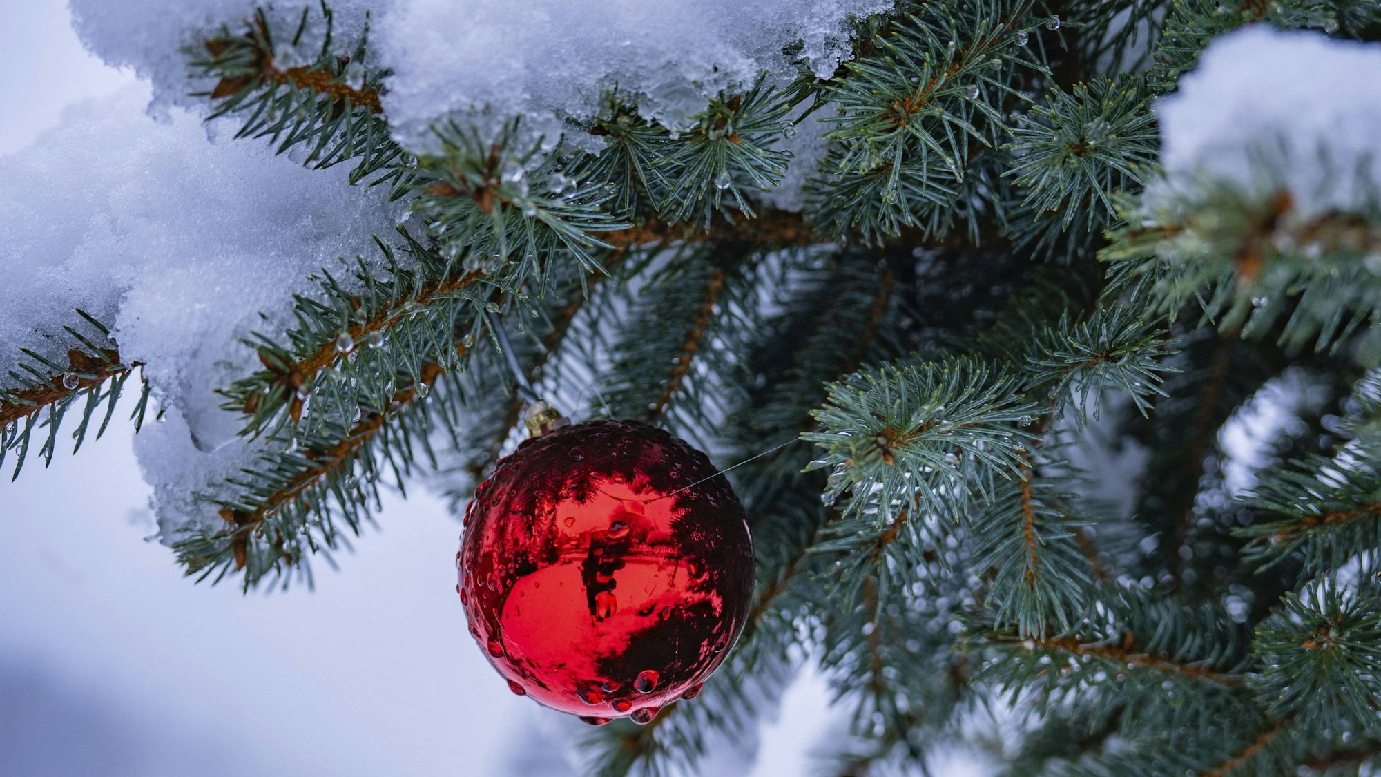 Schnee an Weihnachten ist für die Menschen in NRW eine absolute Rarität.