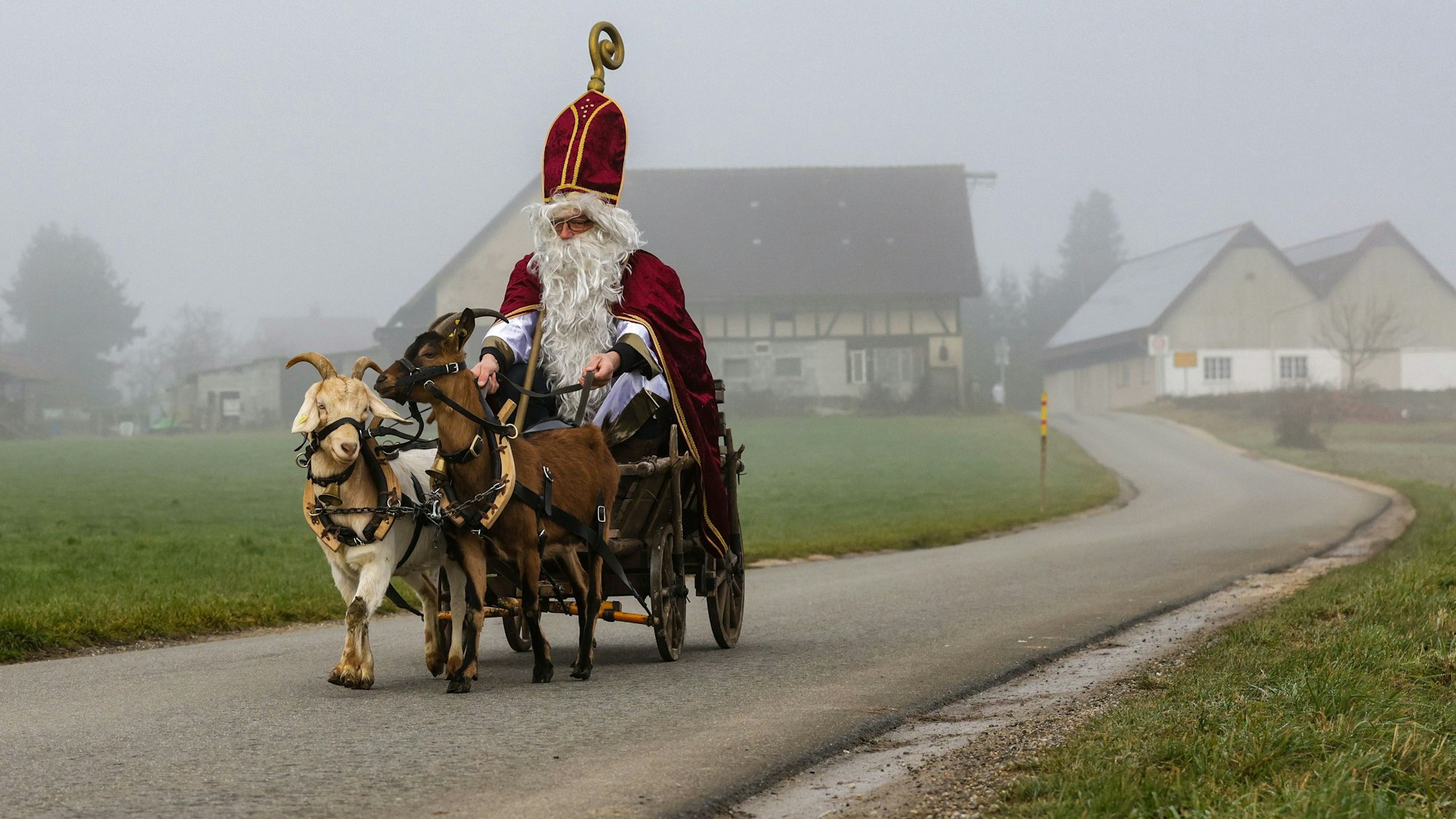 Ein als Nikolaus verkleideter Mann ist mit einem von zwei Ziegen gezogenen Leiterwagen zu einer Adventsfeier unterwegs.