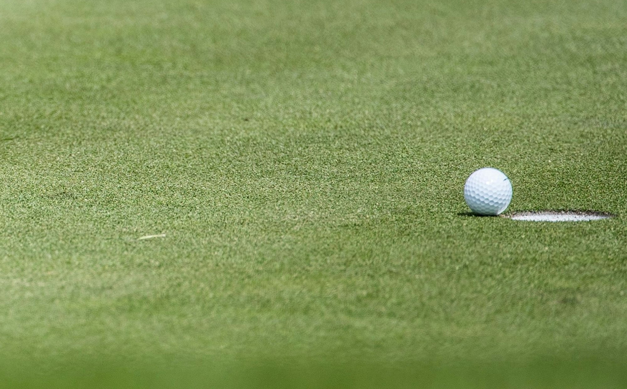 Golfball liegt auf dem Rasen.