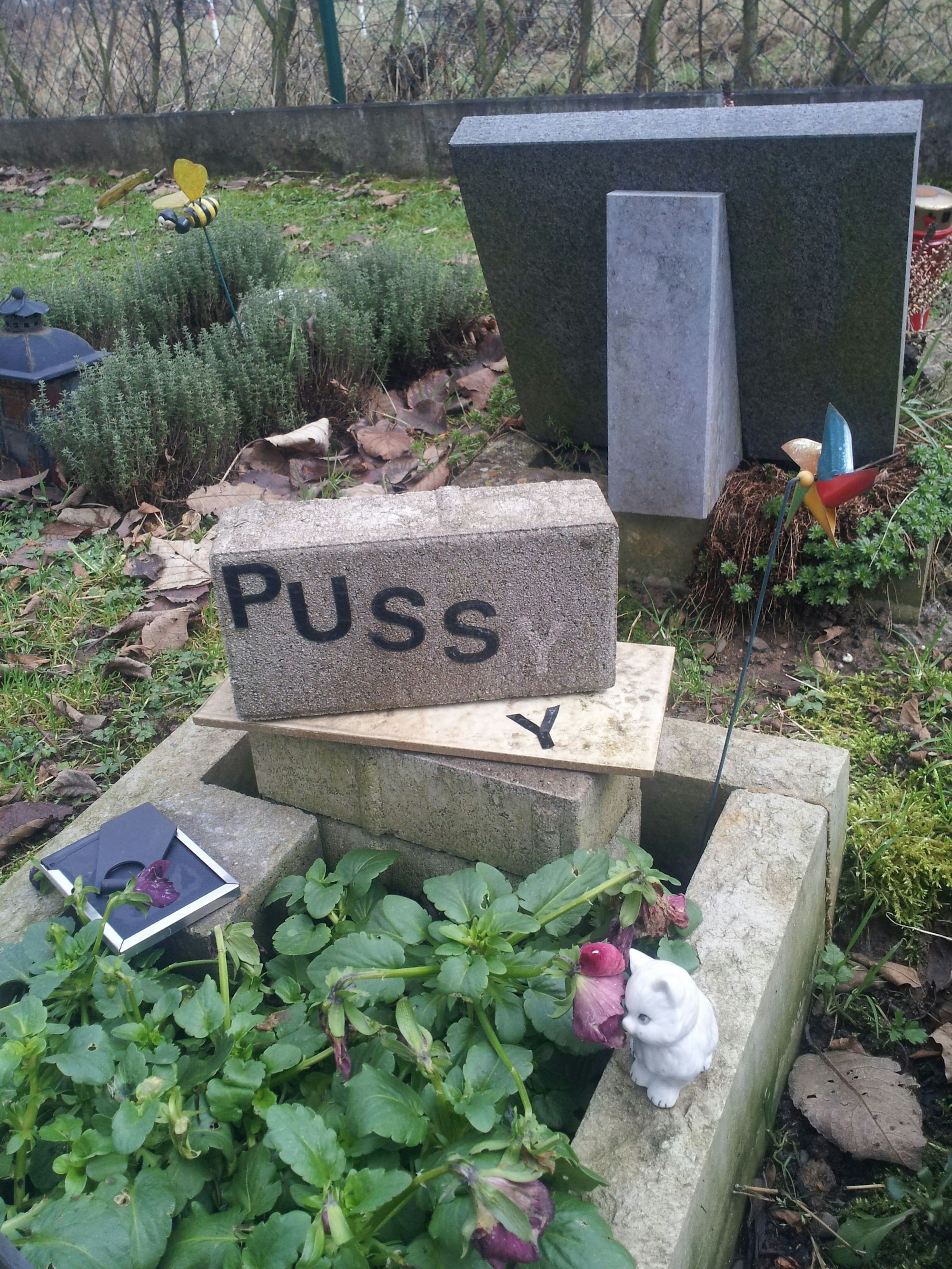 Tiergrab in Köln Stammheim (Archivbild) Bild: Ralf Krieger