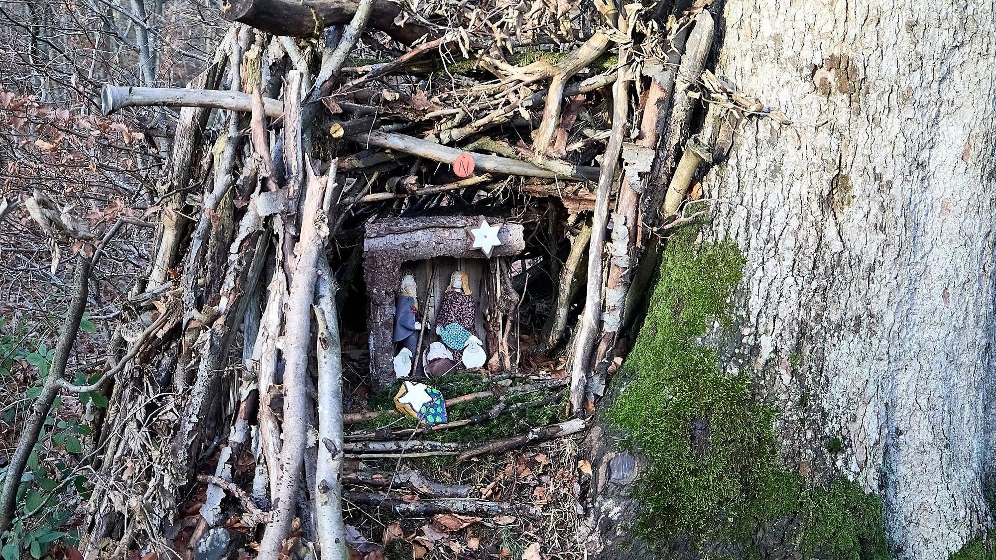 Eine der 70 Krippen, die im Wald entdeckt werden können, ist geschützt durch ineinander gestapeltes Totholz.