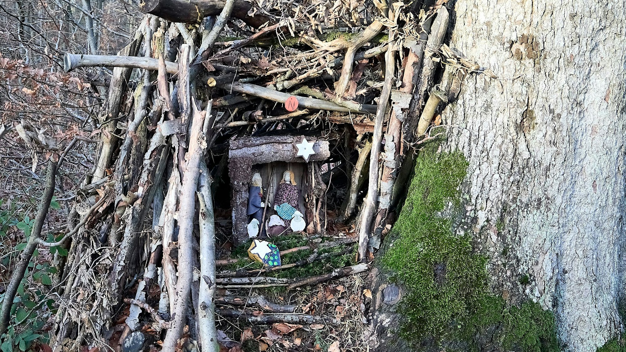 Eine der 70 Krippen, die im Wald entdeckt werden können, ist geschützt durch ineinander gestapeltes Totholz.