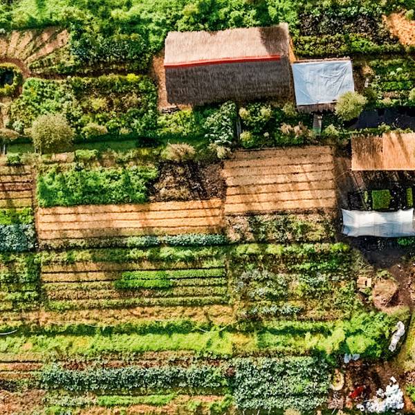 Ein traditionelles Trajinera-Boot fährt an der Bio-Farm Arca Tierra in den Inselgärten der Xochimilco-Kanäle in Mexiko vorbei.