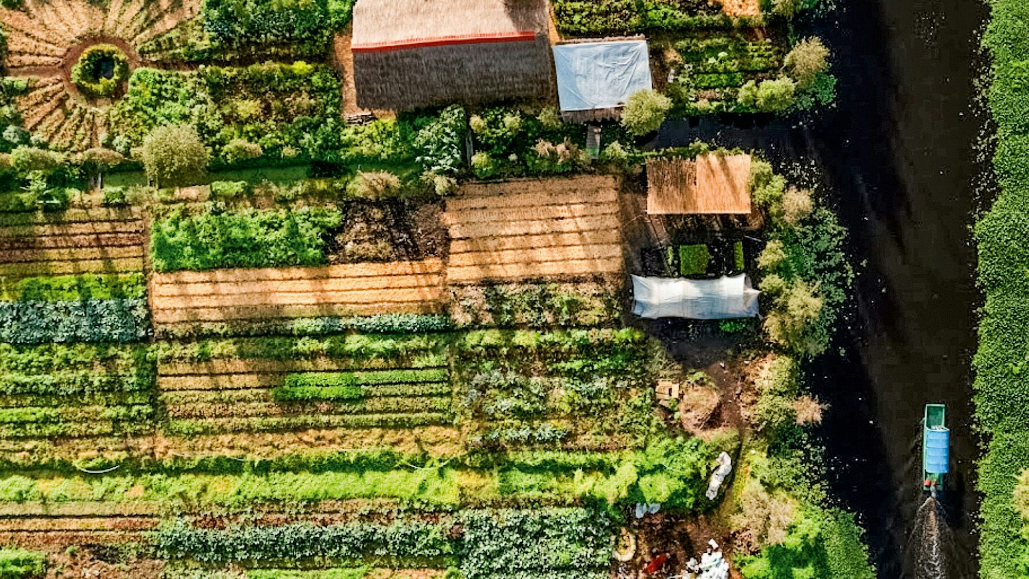 Ein traditionelles Trajinera-Boot fährt an der Bio-Farm Arca Tierra in den Inselgärten der Xochimilco-Kanäle in Mexiko vorbei.