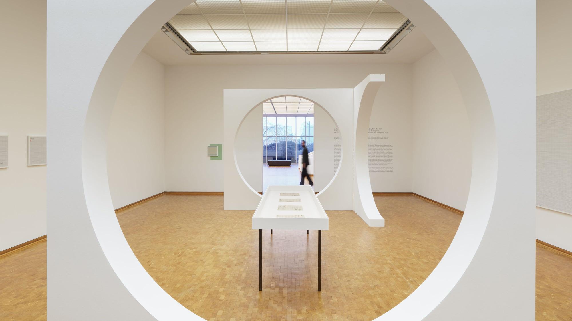 Kunst in der Ausstellung „Wolfgang Hahn Preis 2025 – Evelyn Taocheng Wang“ – Museum Ludwig, Köln.