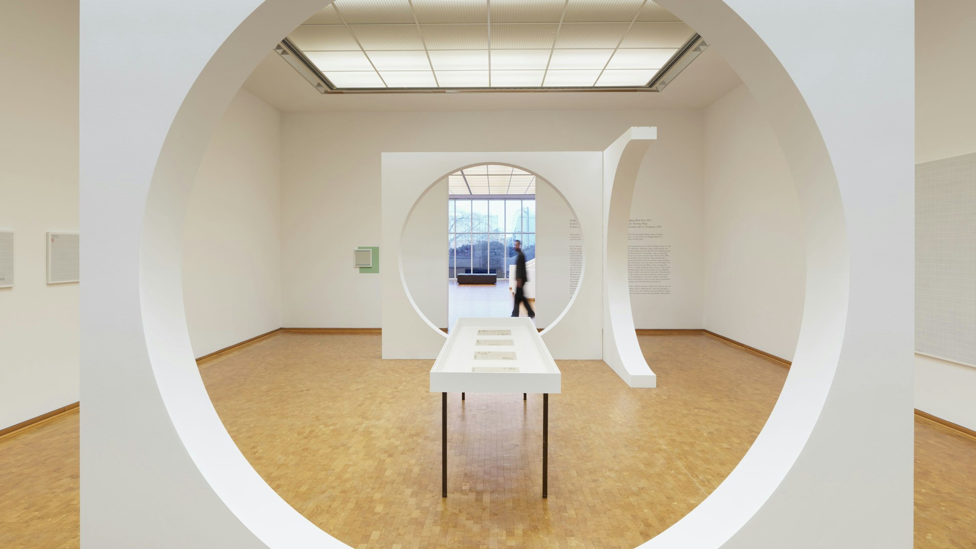 Kunst in der Ausstellung „Wolfgang Hahn Preis 2025 – Evelyn Taocheng Wang“ – Museum Ludwig, Köln.