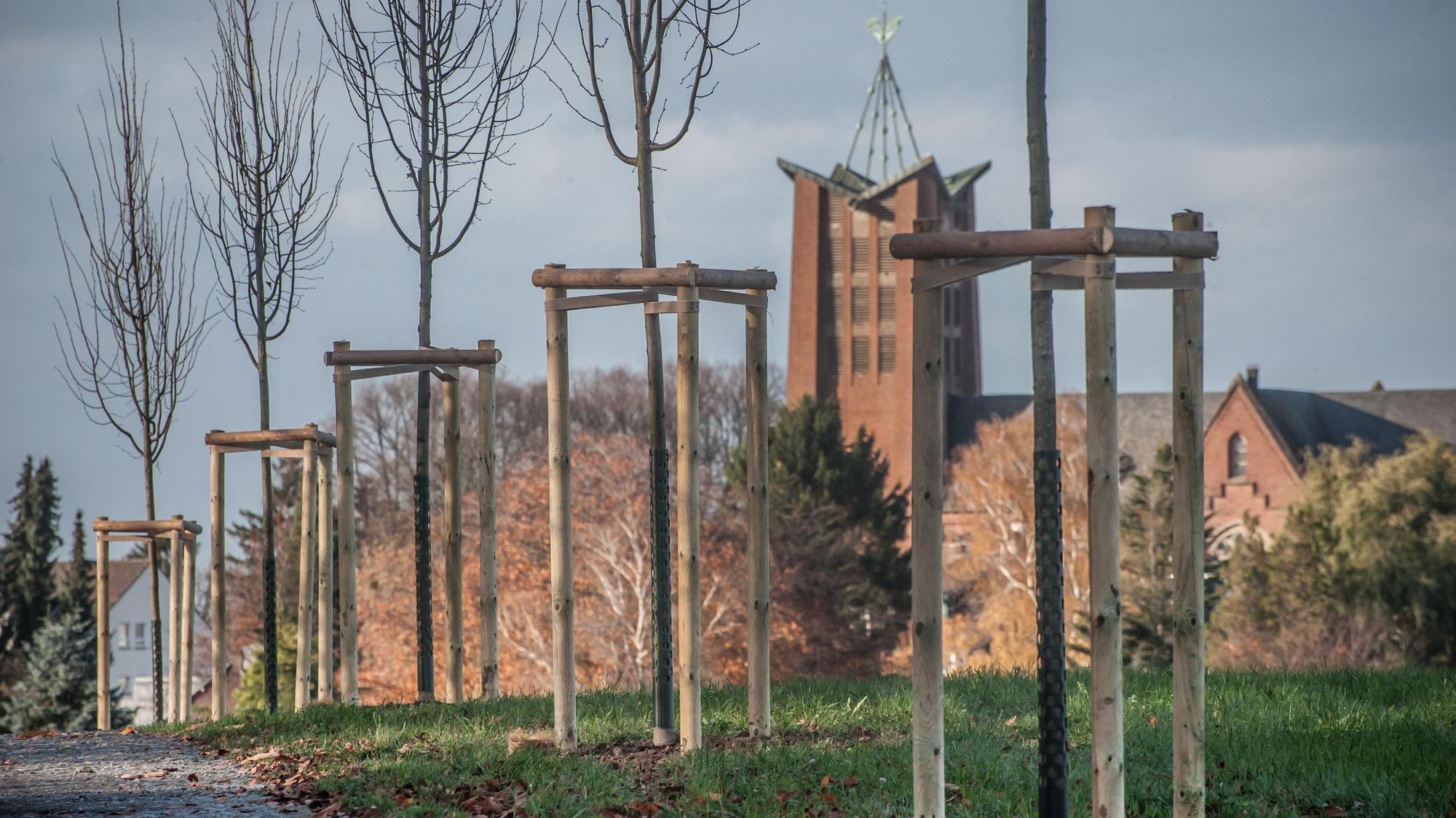 Löh neue Bäume Burscheid