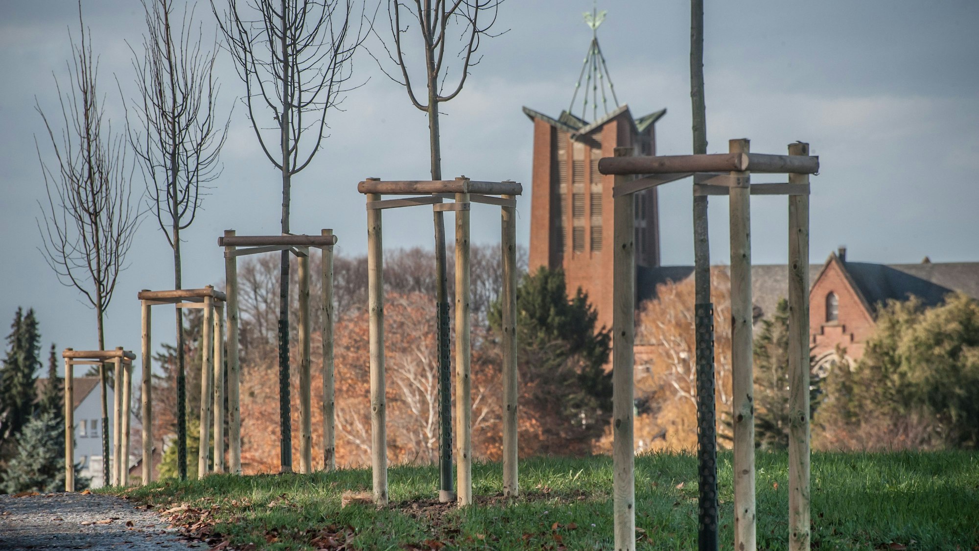Löh neue Bäume Burscheid