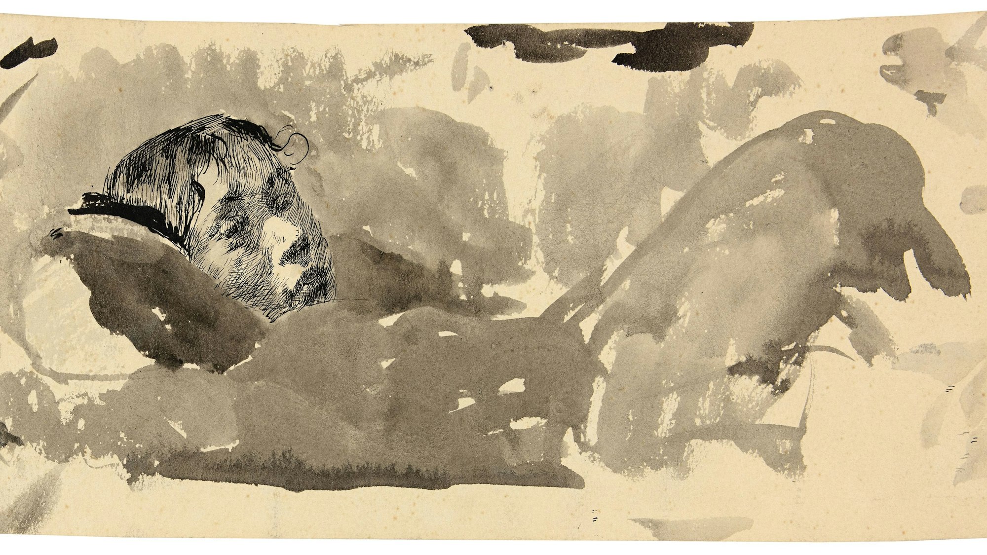 Ein Bild, gefertigt von Käthe Kollwitz in der Käthe Kollwitz Ausstellung.