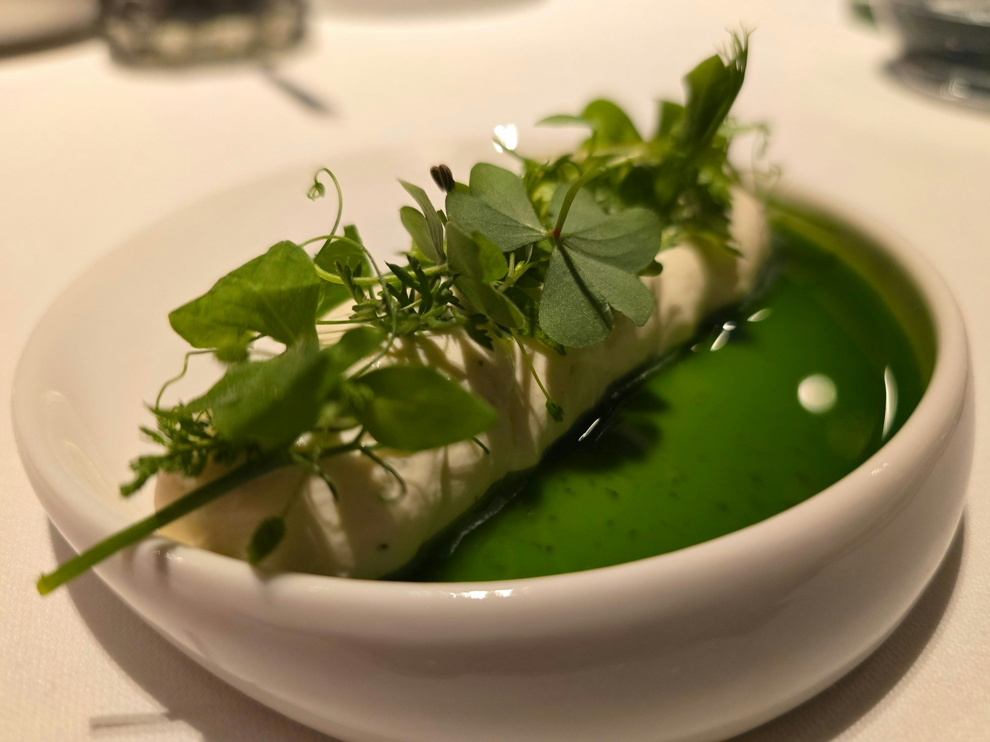 Eine kleine weiße Sauerrahmrolle mit Kräutern bedeckt auf grünem Öl