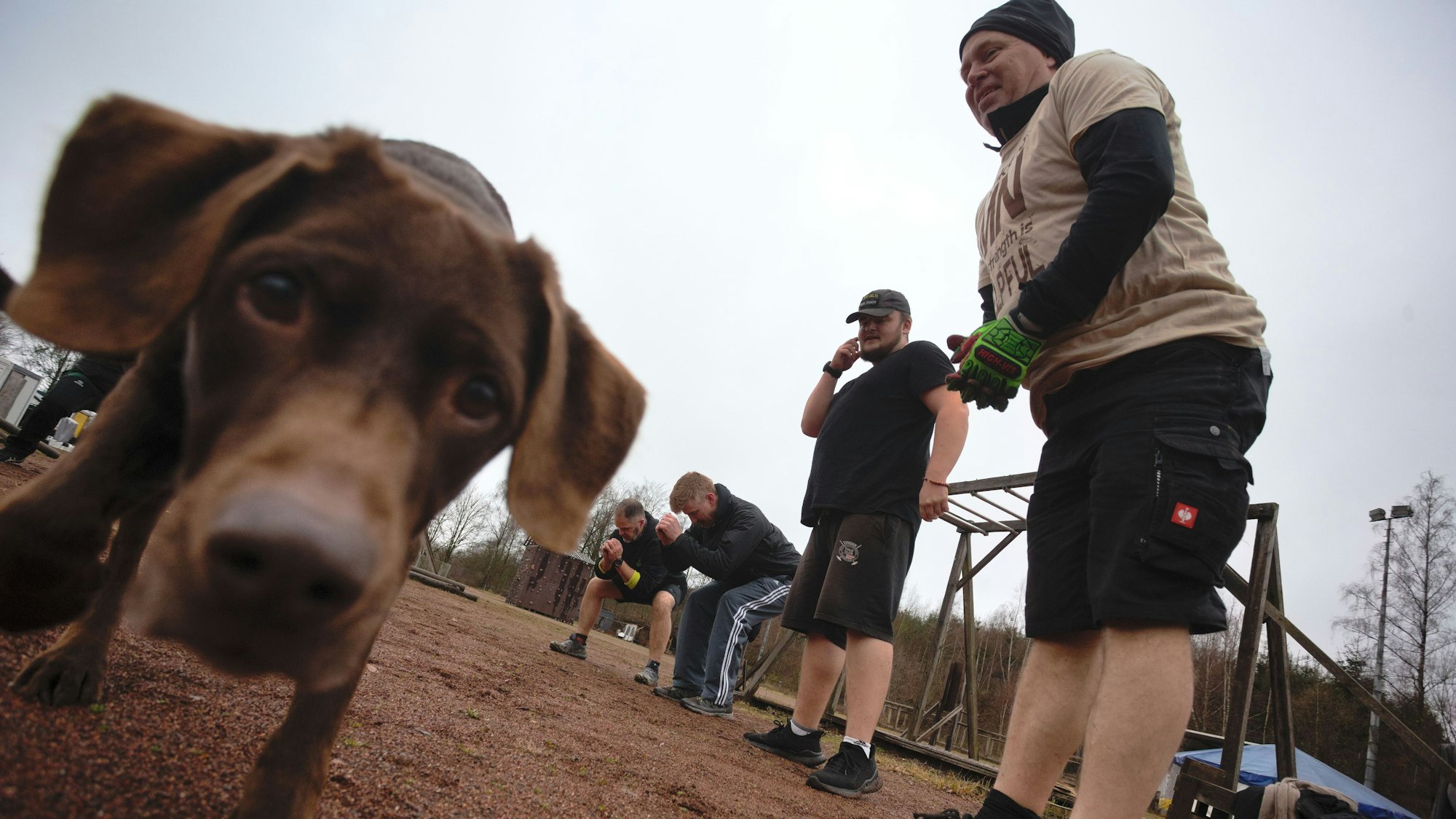 Auch Hunde tummeln sich gelegentlich auf dem Gelände des Natursportzentrums in Bergneustadt.
