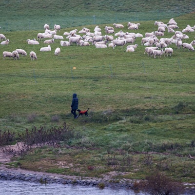 Das Wetter bleibt die nächsten Tage mit bis zu 16 Grad ungewöhnlich mild.