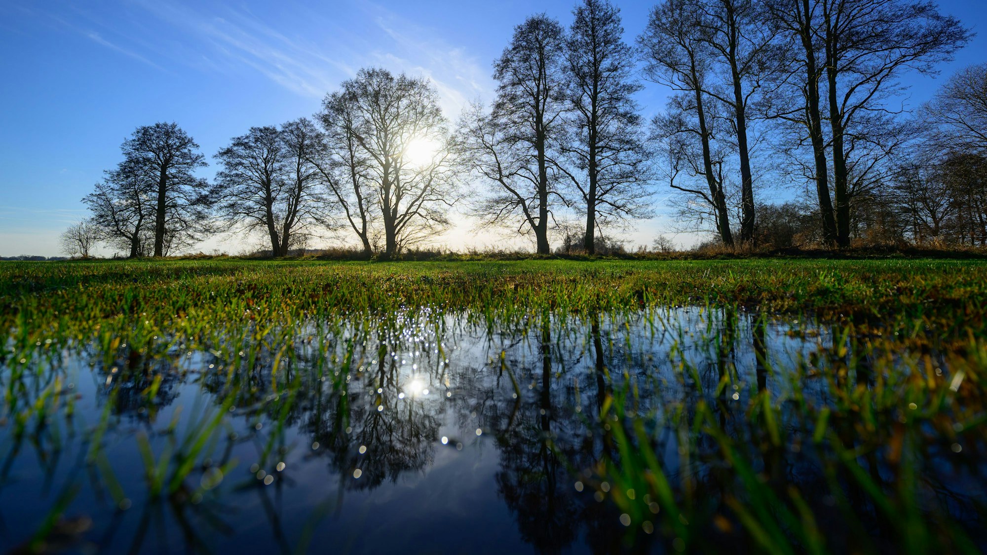 Es ist nass, aber nicht besonders kalt, diesen Dezember. Das ist jedoch kein ungewöhnliches Phänomen mehr.