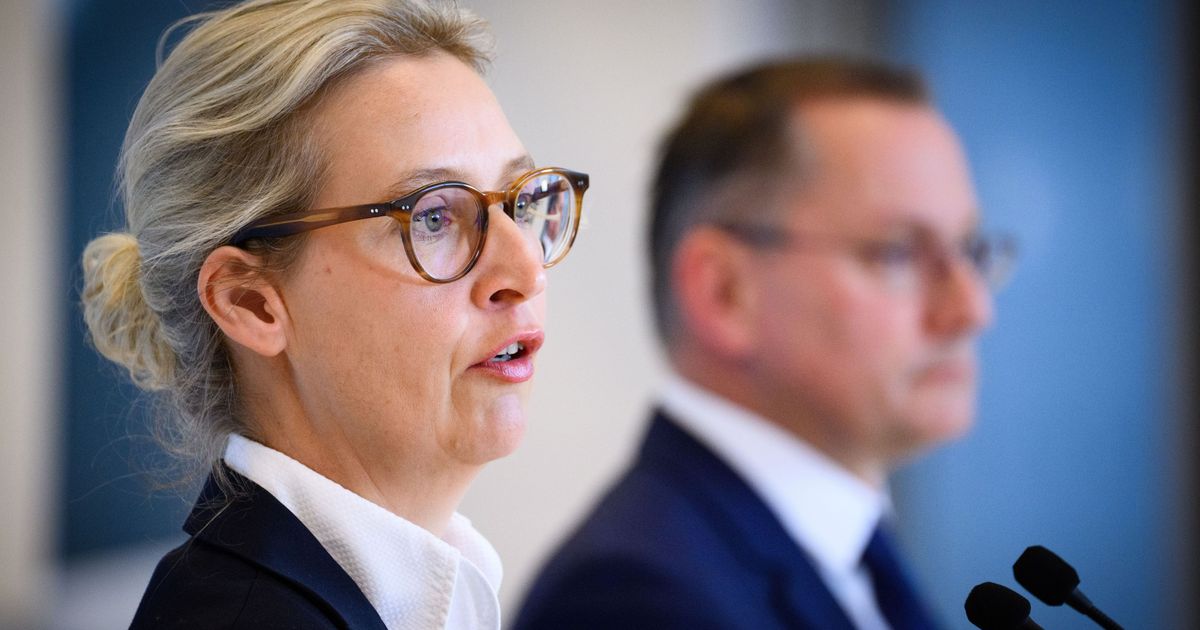 AfD: Alice Weidel sorgt für Empörung bei Polizei und Politik