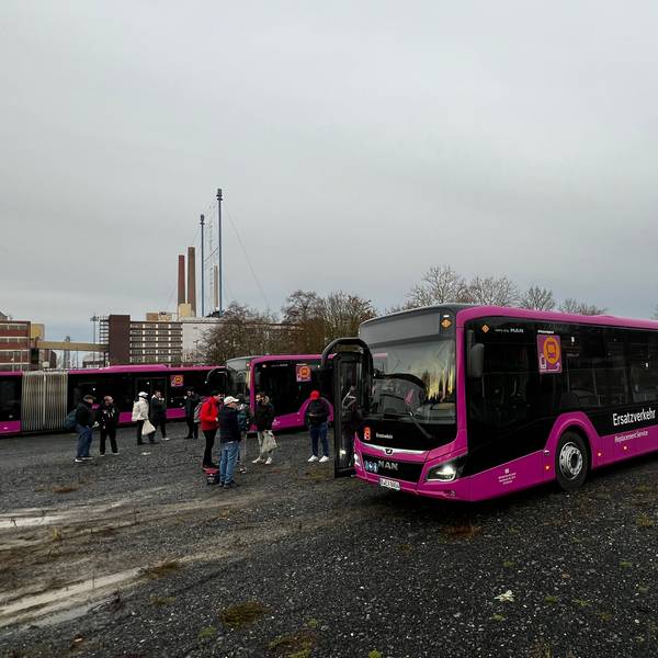 Busse auf einem Parkplatz am Chempark