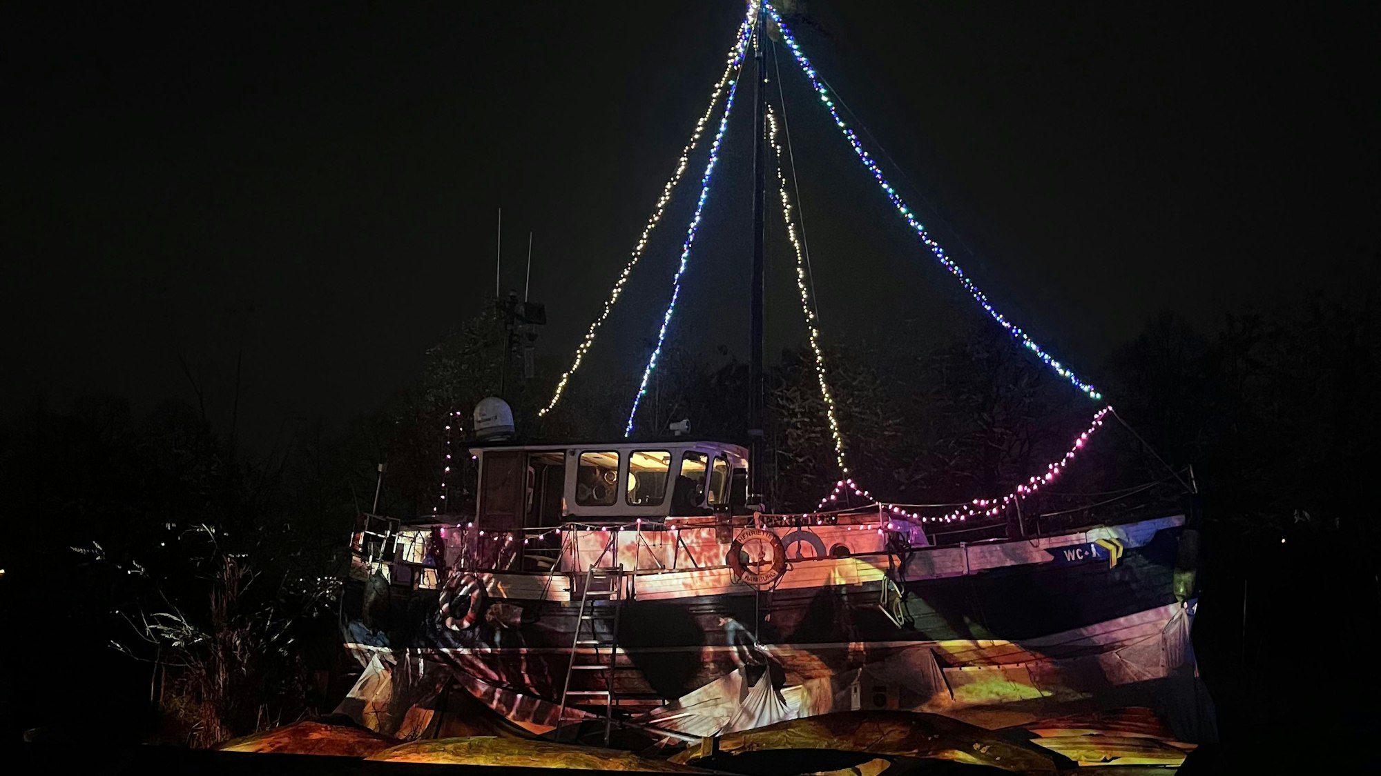 Beleuchtete Bäume beim Südlichter Winterfestival.