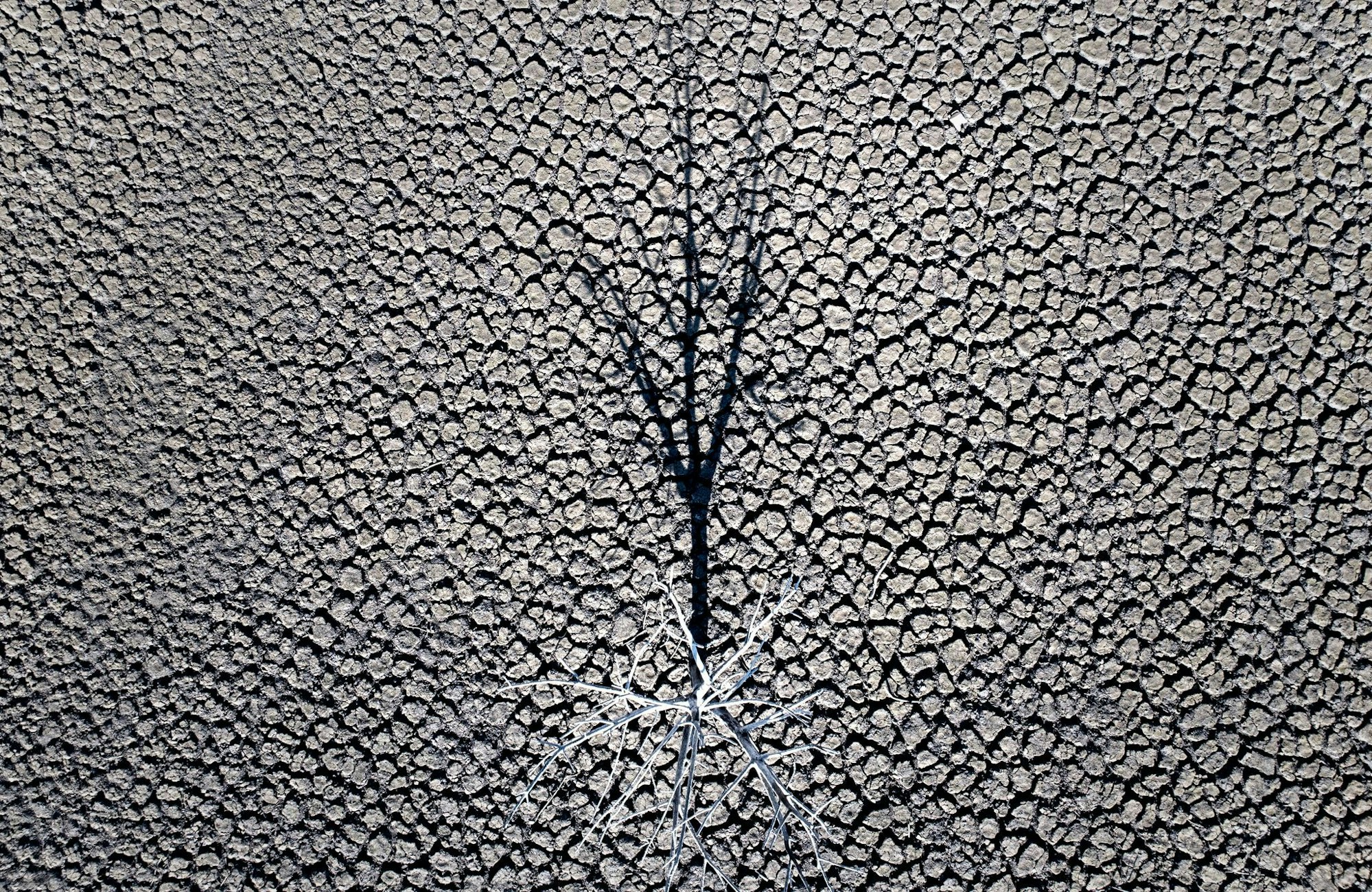 Klimazertifikate aus Drittländern könnten künftig mit EU-Emissionen verrechnet werden. (Symbolbild)