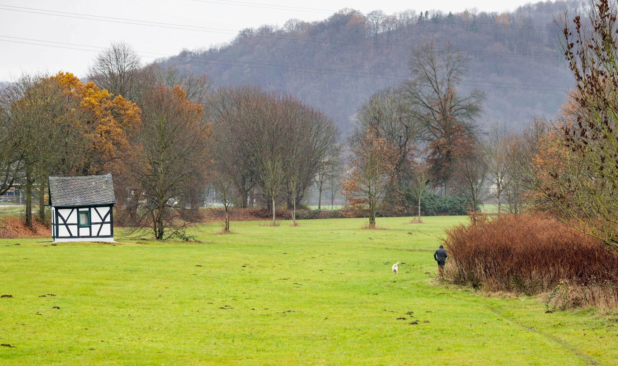 Ein bedeckter Himmel gehört in den kommenden Tagen dazu. (Archivbild)