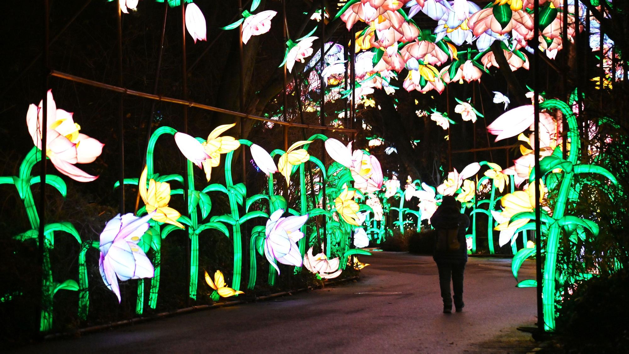 Leuchtende Blumen beim China Lights Festival im Kölner Zoo.