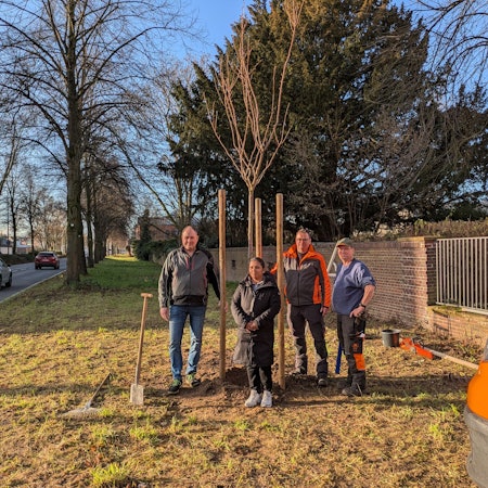 Drei Männer und eine Frau stehen vor einem frisch gepflanzten Baum.