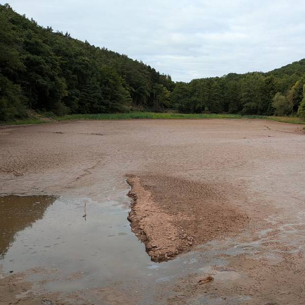 Das Wasser aus dem See ist abgeflossen, der Grund mit Schlamm bedeckt.