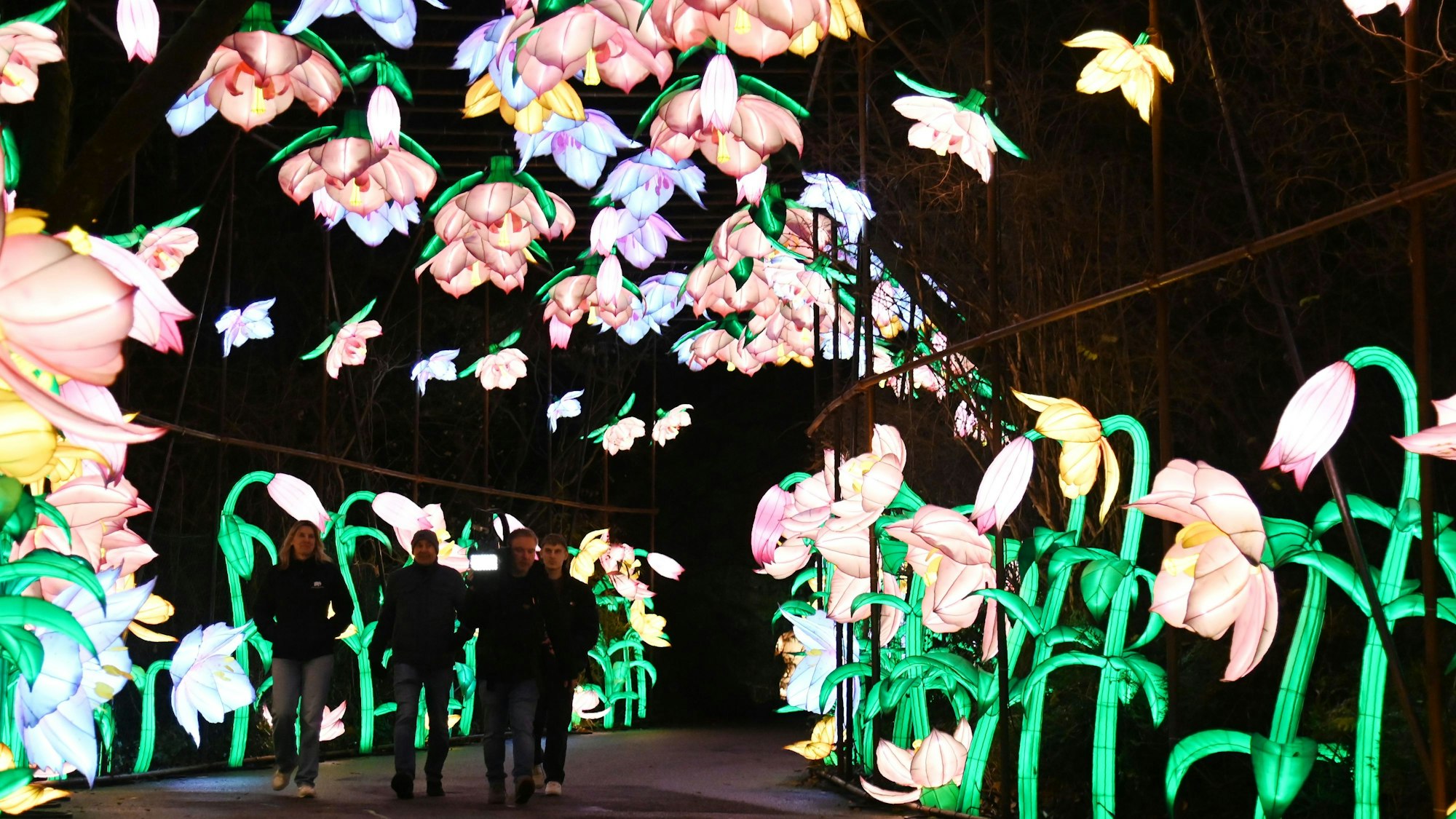 Bunte, beleuchtete Blumen beim Auftakt der China Lights im Kölner Zoo.