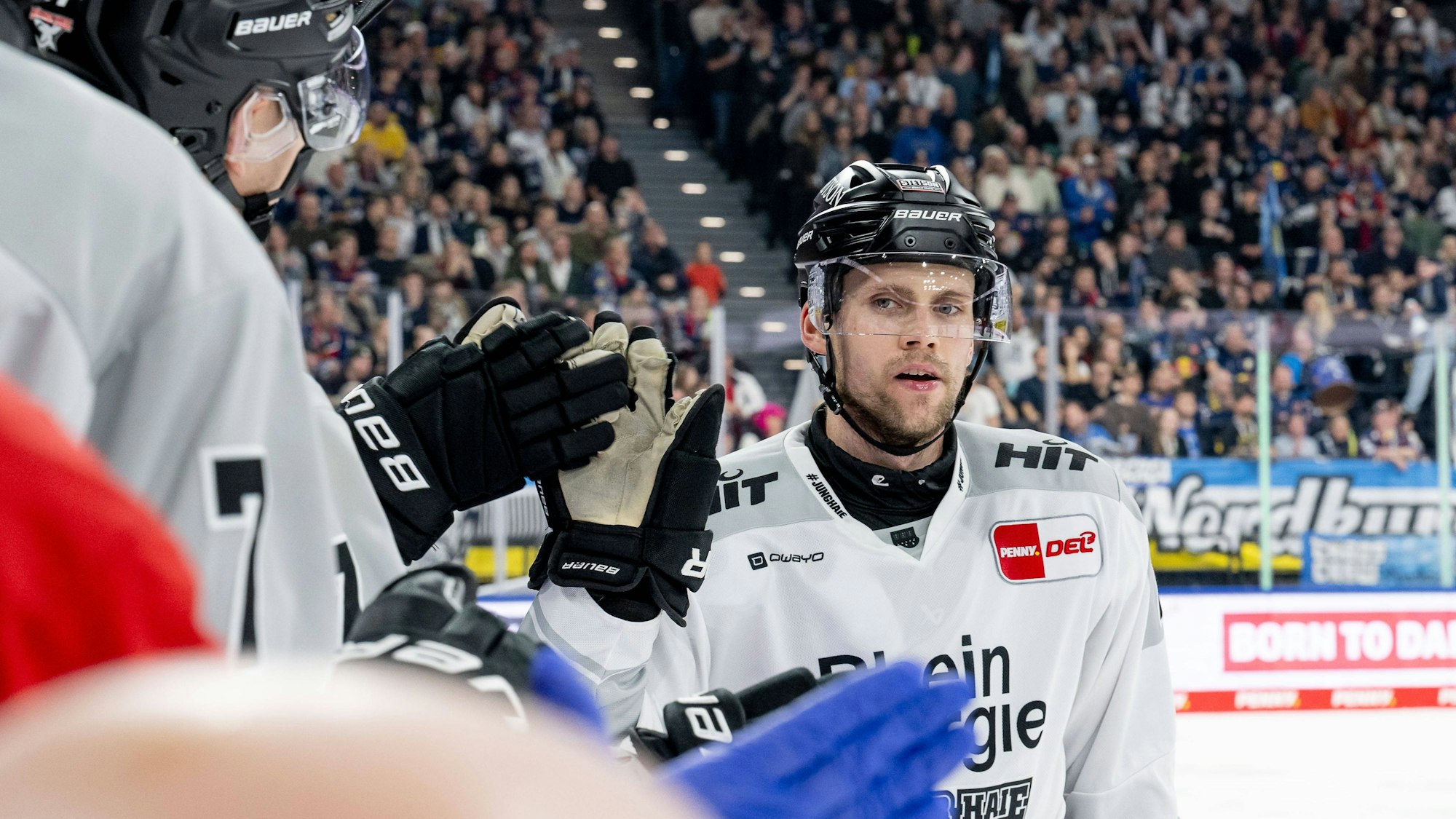Dominik Bokk Koelner Haie, 78 beim Abklatschen an der Bank nach seinem Tor zum 0:1 GER, EHC Red Bull Muenchen vs. Koelner Haie, Eishockey, DEL, 27. Spieltag, Saison 2025/2026, 10.12.2025. GER, EHC Red Bull Muenchen vs. Koelner Haie, Eishockey, DEL, 27. Spieltag, Saison 2025/2026, 10.12.2025. Muenchen *** Dominik Bokk Koelner Haie, 78 clapping off at the bench after his goal for 0 1 GER, EHC Red Bull Muenchen vs Koelner Haie, Ice Hockey, DEL, Matchday 27, Season 2025 2026, 10 12 2025 GER, EHC Red Bull Muenchen vs Koelner Haie, Ice Hockey, DEL, Matchday 27, Season 2025 2026, 10 12 2025 Muenchen Copyright: xEibner-Pressefoto/HeikexFeinerx EP_HFR