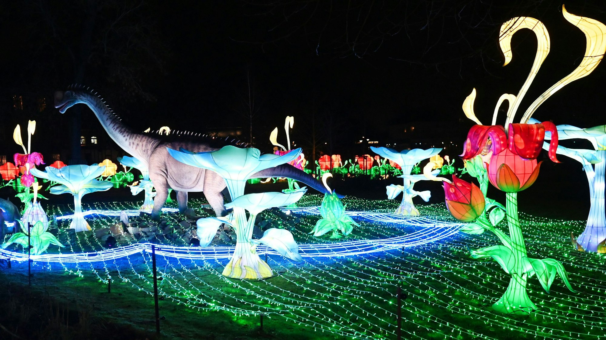 Leuchtende Blumen um den Dino herum bei China Lights 2025 im Kölner Zoo.