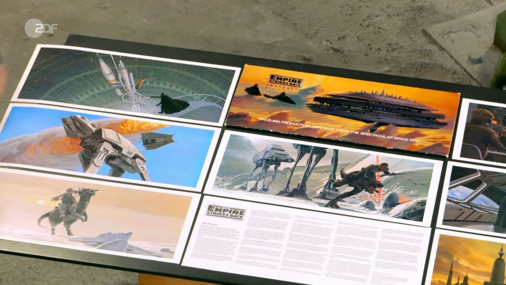 Annika Raßbach erklärte, dass es sich um 24 Reproduktionen einer Auftragsarbeit des Illustrators Ralph McQuarrie handelte. (Bild: ZDF)