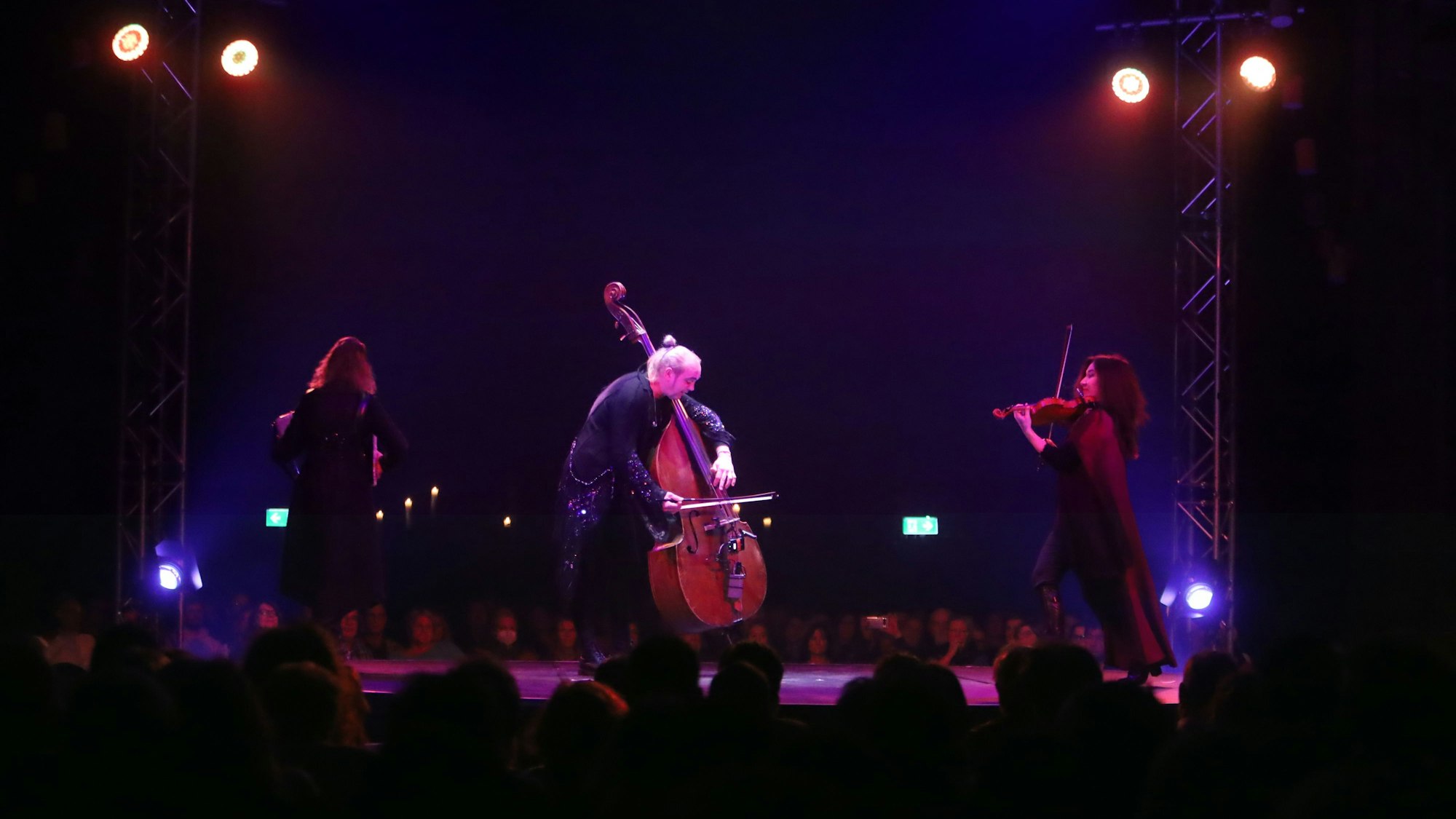 Das Bild zeigt Sergej Sweschinski am Kontrabass.