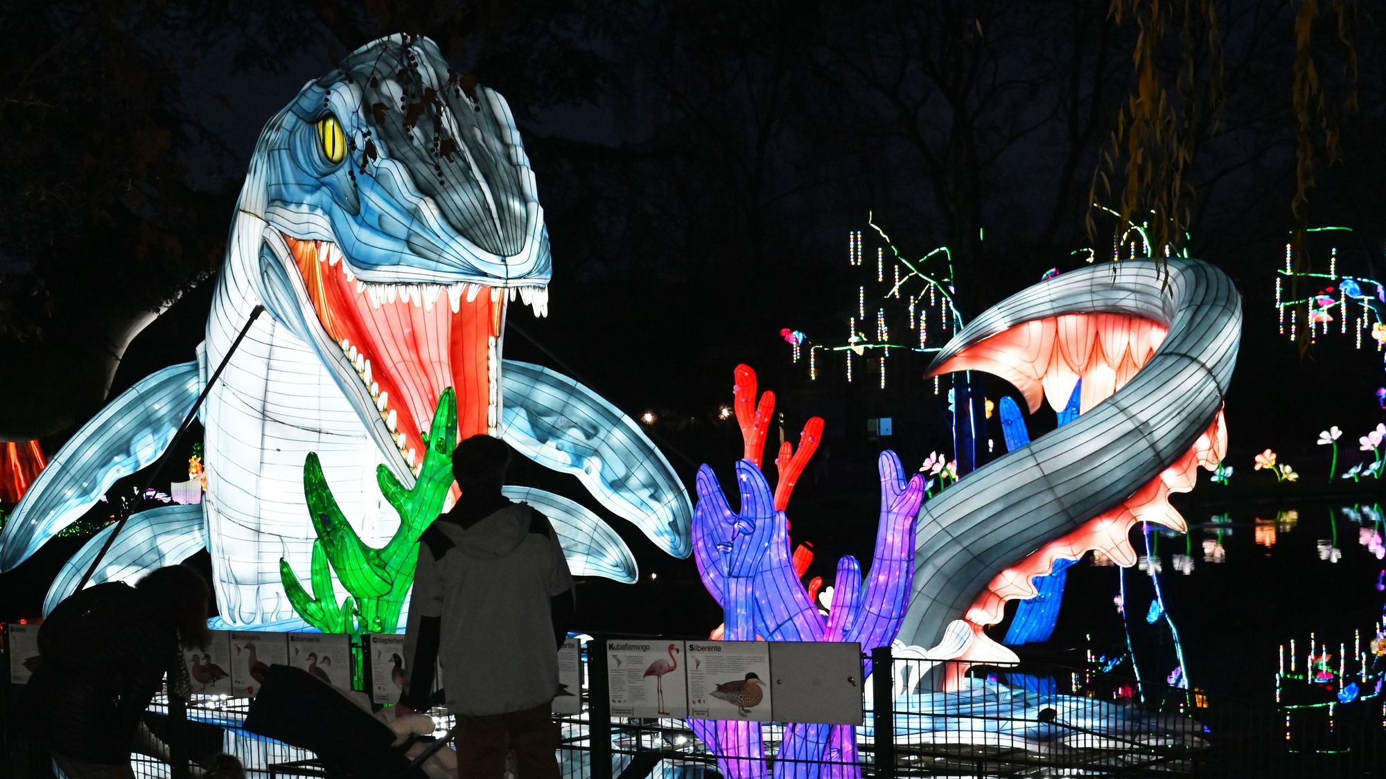 Im Kölner Zoo finden wieder die China Lights statt.