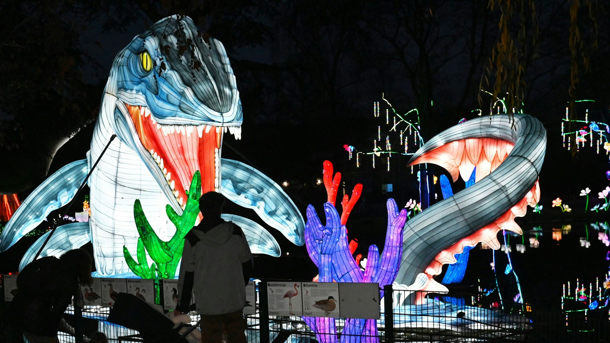 Im Kölner Zoo finden wieder die China Lights statt.