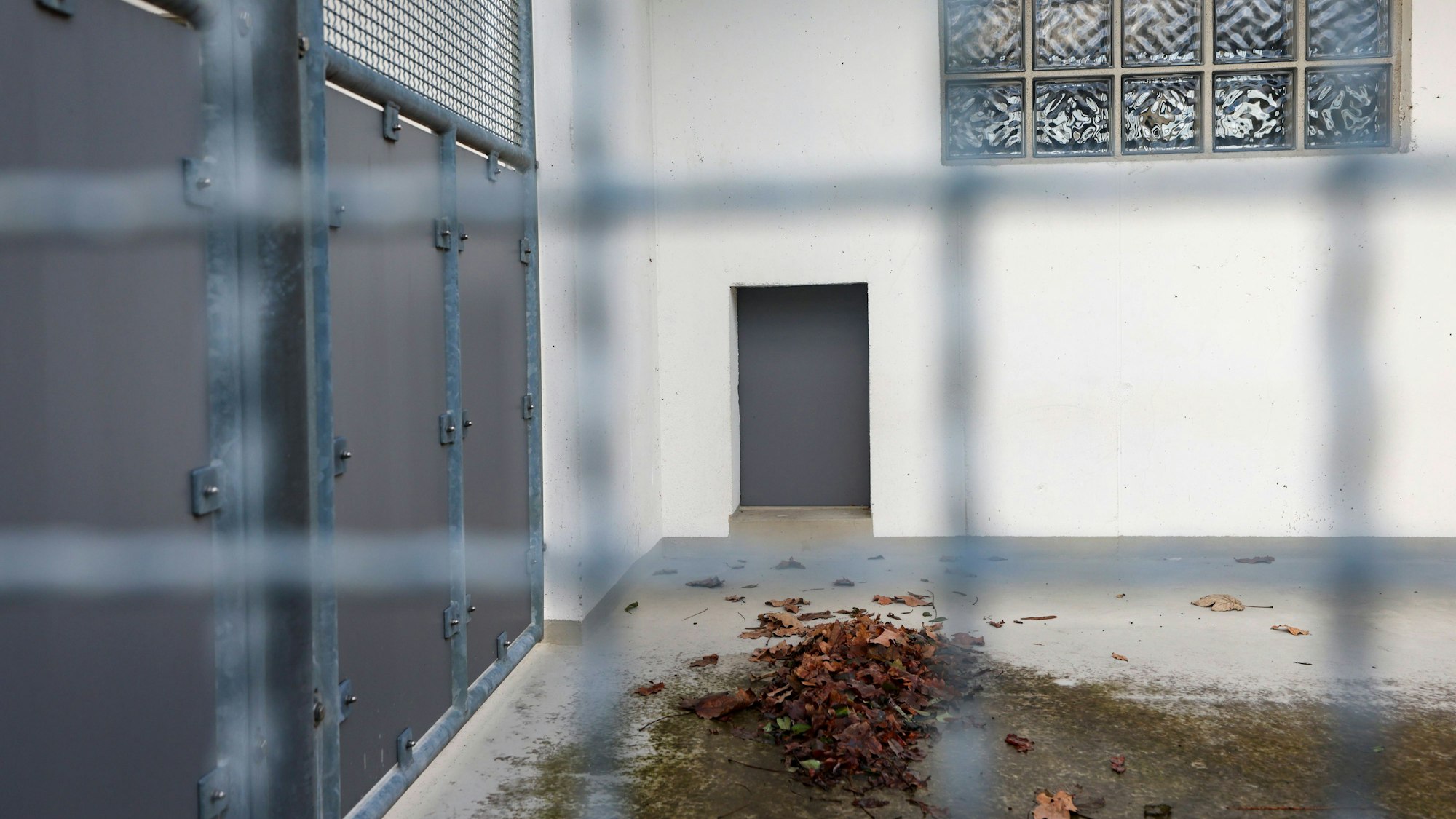 Hundezwinger einer Diensthundestaffel der Polizei.