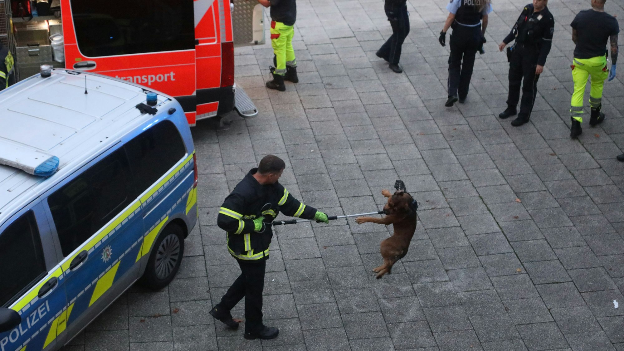 Bei einem Einsatz am Ebertplatz wurde ein Polizist von einem Hund gebissen, der anschließend von der Tierrettung der Feuerwehr fixiert werden musste.