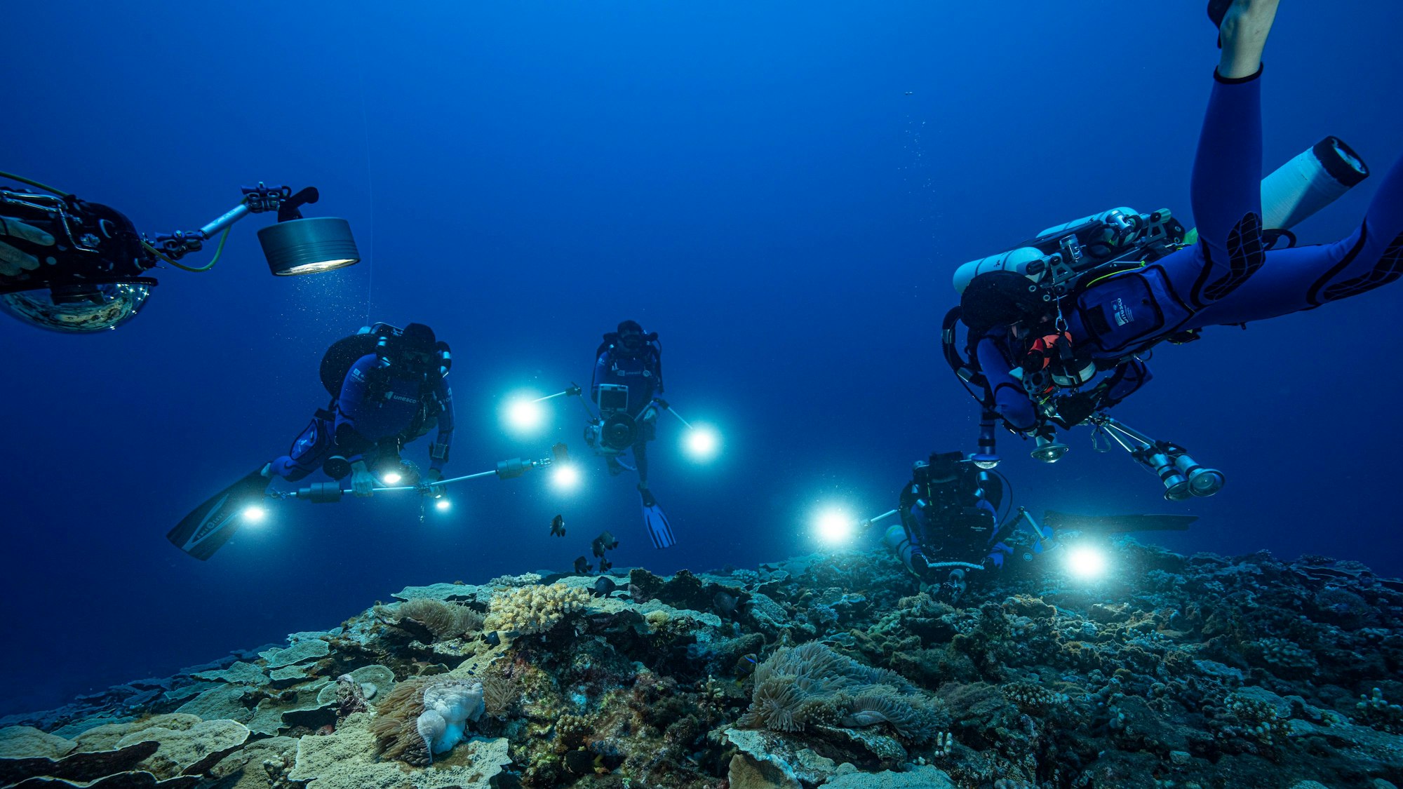 Auf diesem Foto untersuchen Forscher des französischen Nationalen Zentrums für wissenschaftliche Forschung im Dezember 2021 Korallen in den Gewässern vor der Küste von Tahiti in Französisch-Polynesien.