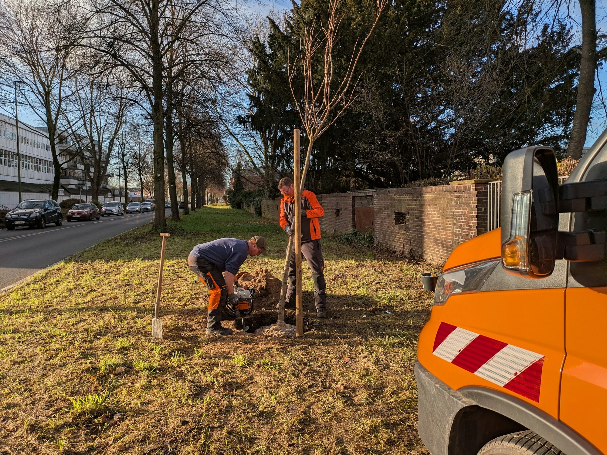 Ein Baum erinnert an die am Berliner Platz getötete Angelina.