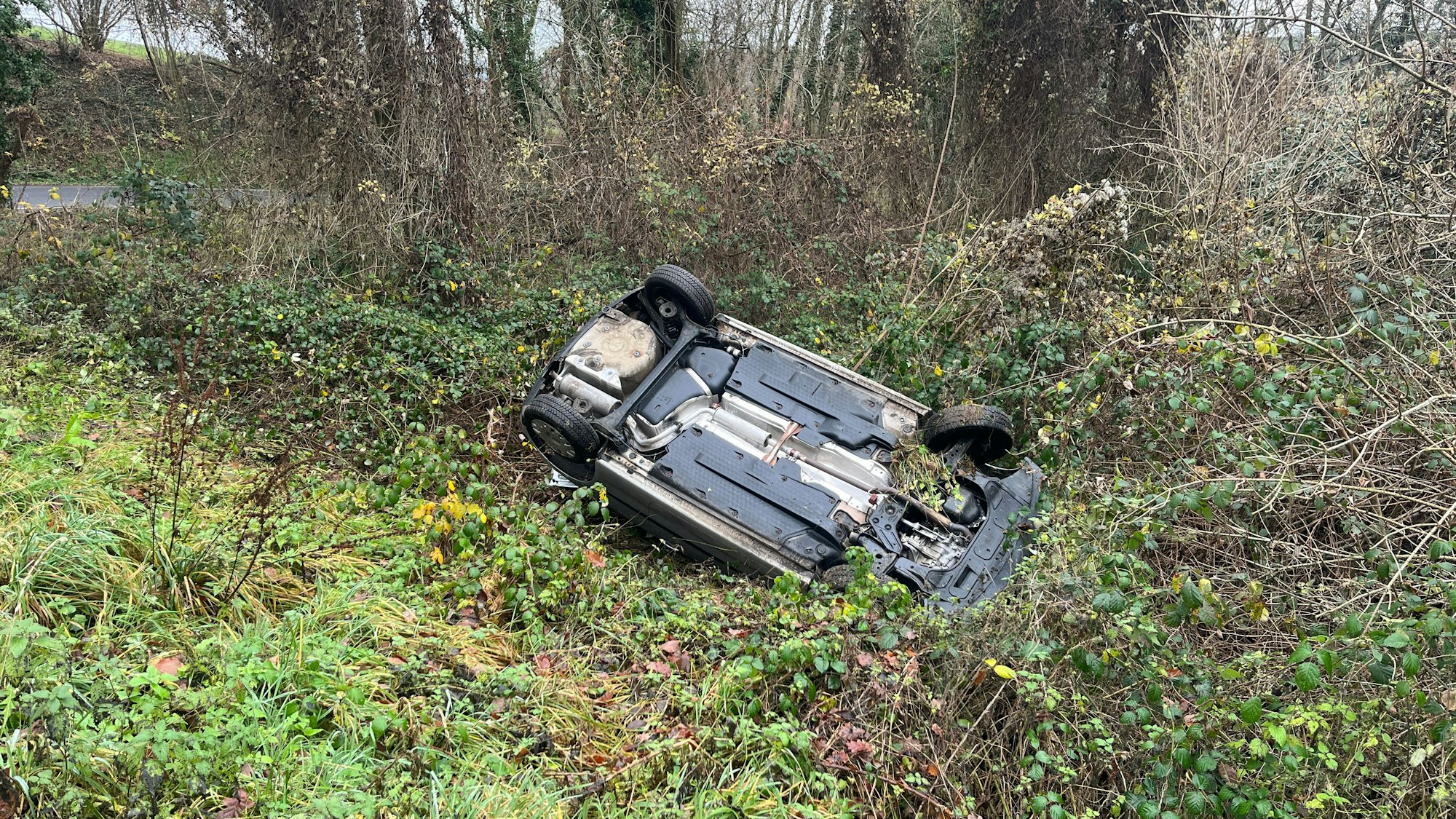 Das Fahrzeug blieb auf dem Dach im Hang liegen.