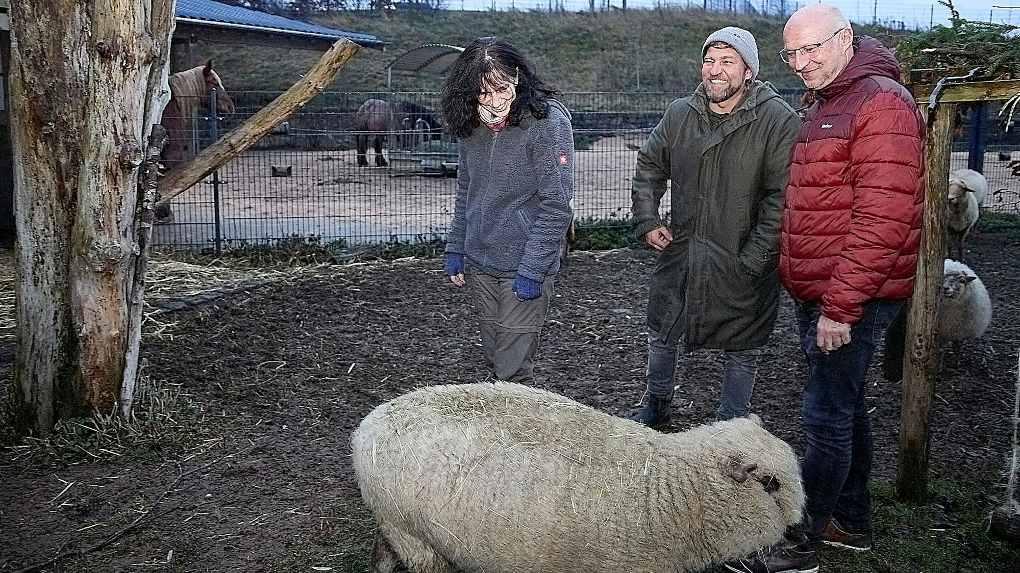 Marion Zöller, René Plamper und Bernd Hellgardt (v.l.) stehen zusammen mit einem Schaf auf dem Außengelände des Hasenberghofs.