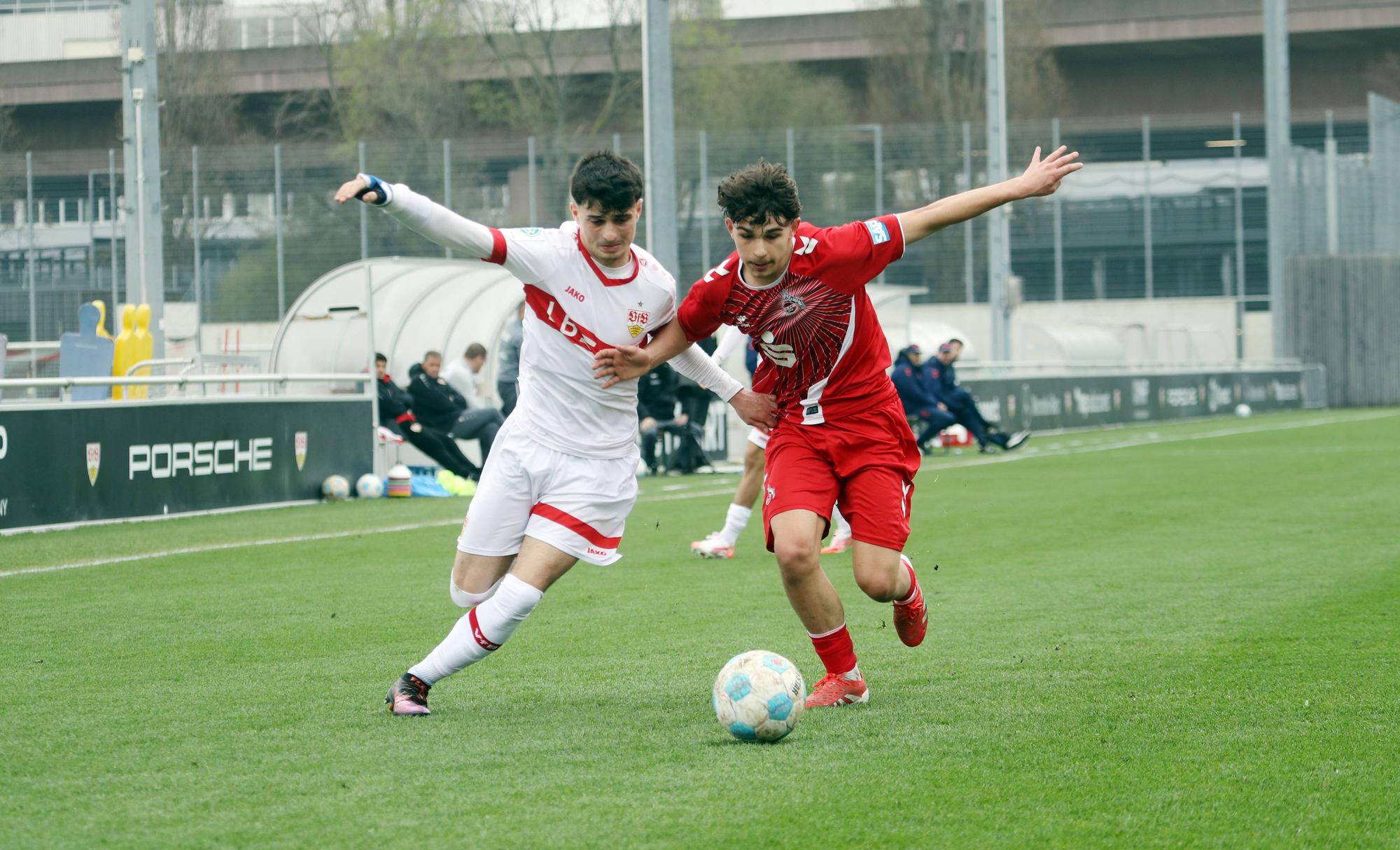 29.03.25 U17, U 17 VfB Stuttgart - U17 1. FC Köln Deutschland, Stuttgart, 29.03.2025, Fussball, U17-DFB-Nachwuchsliga, U17 VfB Stuttgart - U17 1. FC Köln 0:1: v.l. Nikolas Matic VfB Stuttgart, Milan Nikolic 1. FC Köln. *** 29 03 25 U17 VfB Stuttgart U17 1 FC Köln Germany, Stuttgart, 29 03 2025, Soccer, U17 DFB Nachwuchsliga, U17 VfB Stuttgart U17 1 FC Köln 0 1 v l Nikolas Matic VfB Stuttgart , Milan Nikolic 1 FC Köln