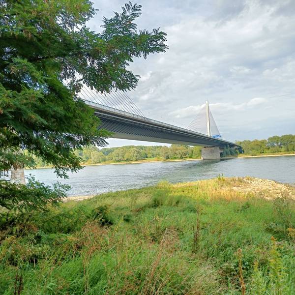 Voraussichtlich ab Mitte Januar dürfen Fahrzeuge mit mehr als 7,5 Tonnen Gewicht nicht mehr über die Bonner Nordbrücke der A565 fahren.