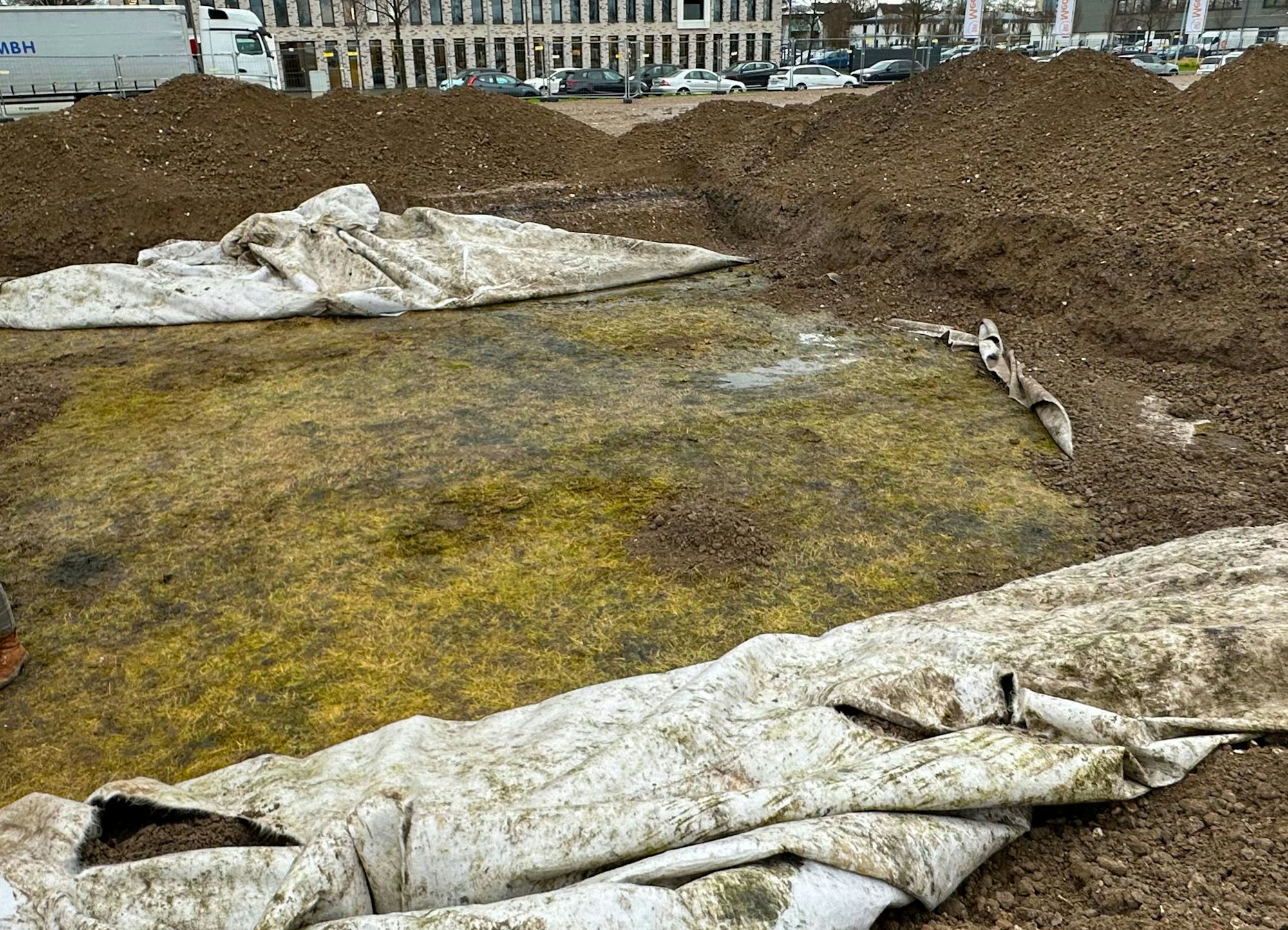 Unterm Schotter ist das Gras platt, aber noch grün.