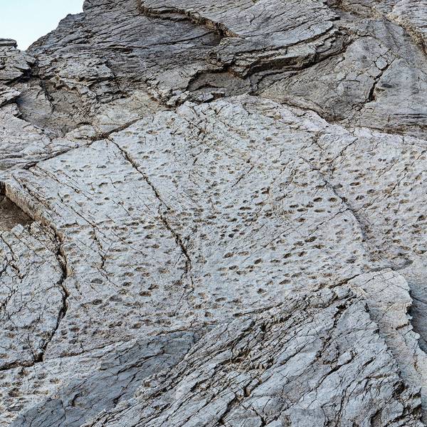 Dieses vom Stelvio National Park zur Verfügung gestellte Foto zeigt Fußabdrücke von Prosauropoden aus der späten Trias an den Hängen des Fraeel-Tals in Norditalien. (Aufnahme vom September 2025)