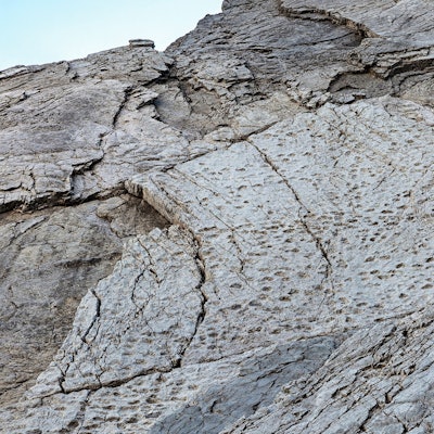 Dieses vom Stelvio National Park zur Verfügung gestellte Foto zeigt Fußabdrücke von Prosauropoden aus der späten Trias an den Hängen des Fraeel-Tals in Norditalien. (Aufnahme vom September 2025)